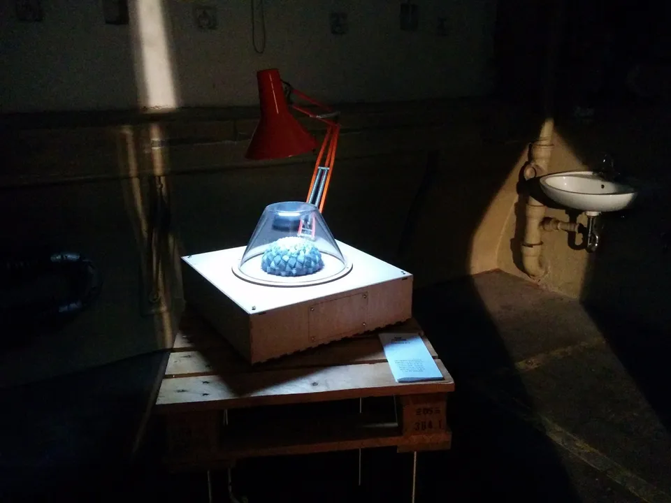 Bild des Zoetrope im schumrigen Ambiente